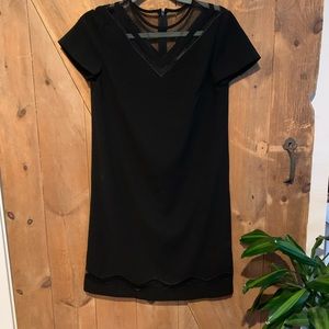 Tahari Arthur Levine Sheer Black Dress